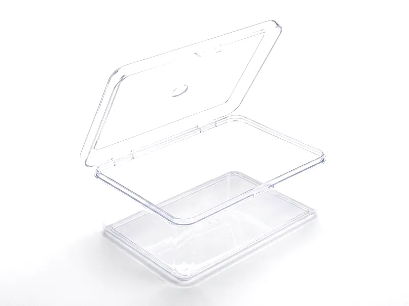 Clear plastic enclosure box with its hinged lid open
